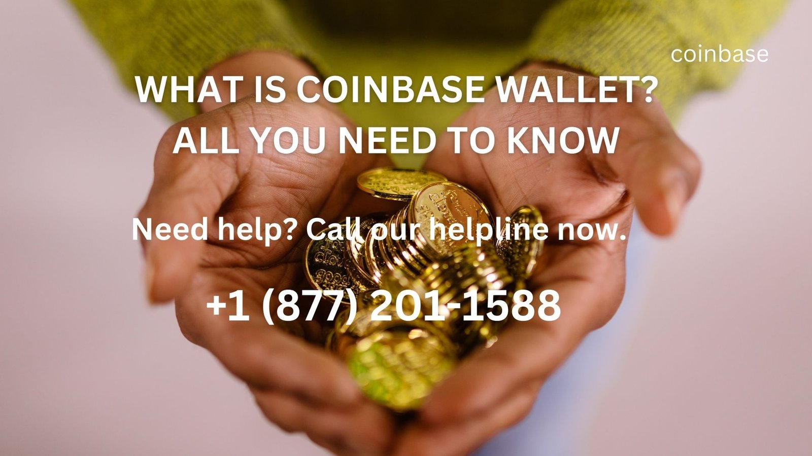 Coinbase Wallet: Everything You Need to Know - aboutcoinbasee.com