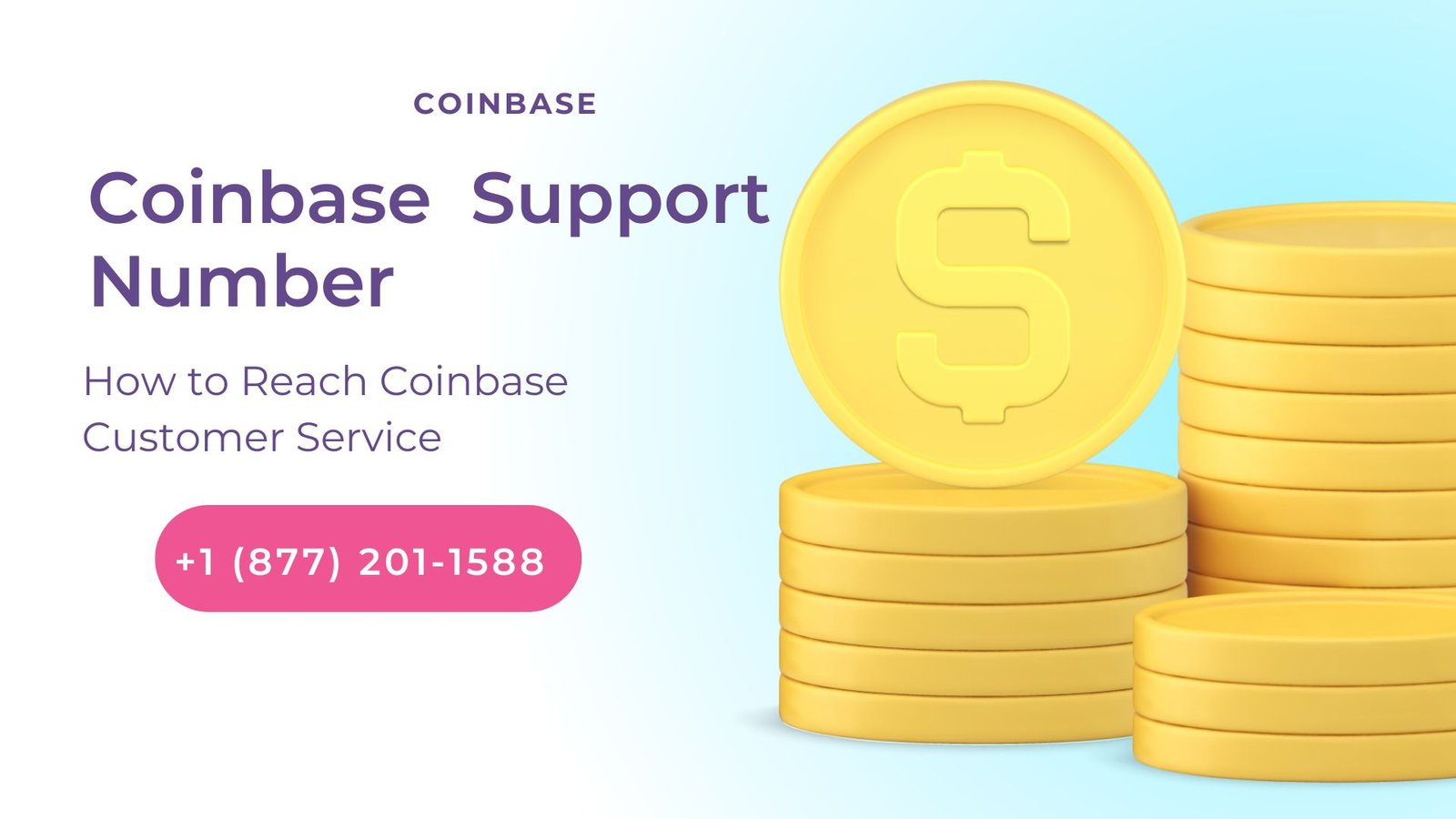 How to Contact Coinbase Support Number